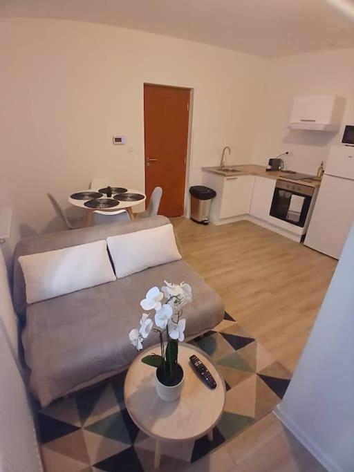 Appartement F1 Orchidee Mülhausen Exterior foto